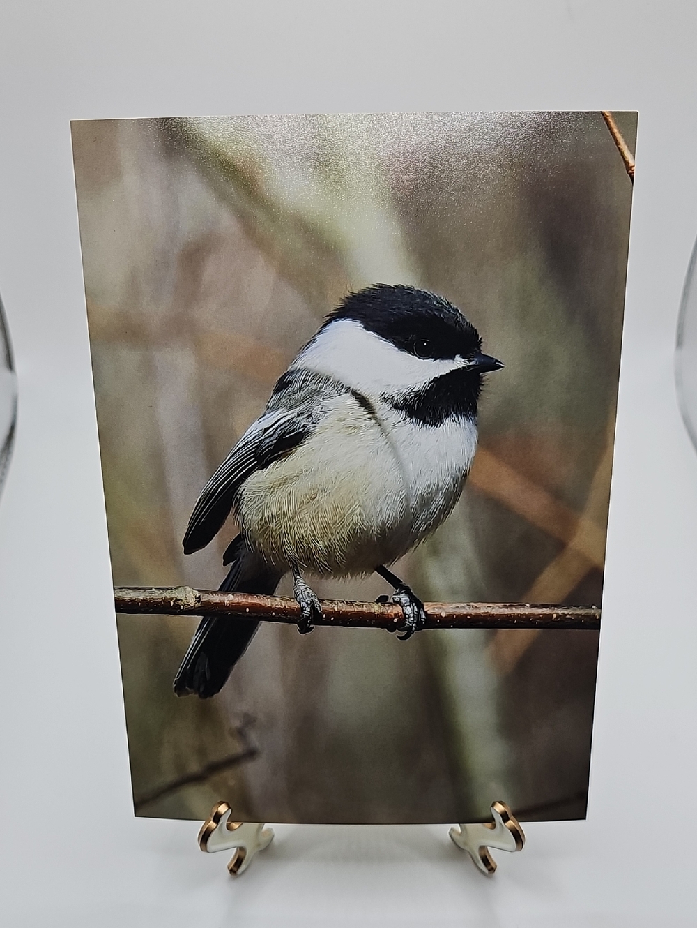 5x7 Chickadee Bird Oil Painting Photography Print‎